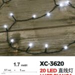 Catena luminosa 20 LED luce bianca da 1,7 metri alimentazione a corrente per uso interno