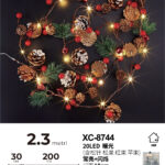 Catena luminosa decorativa da 2,3 metri luce calda con 20 micro LED alimentazione a batteria