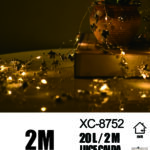 Catena luminosa decorativa da 2 metri luce calda con 20 micro LED alimentazione a batteria