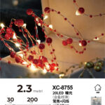 Catena luminosa decorativa da 2,3 metri luce calda con 20 micro LED alimentazione a batteria