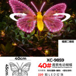Figura luminosa Farfalla Trasparente LED Luce Calda+Rosa IP65 per uso esterno dimensione 45x40cm