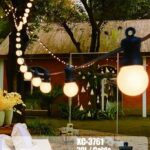 Catena G50 da 20 LED da 10 mt ,luce calda, cavo nero , collegabile max 3 pz