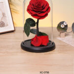 Rosa eterna campana di vetro ideale come ornamento o regalo decorativo dimensioni 12x20cm
