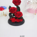 Rosa eterna campana di vetro ideale come ornamento o regalo decorativo dimensioni 12x22cm