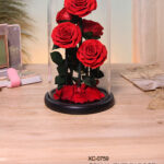 Rosa eterna campana di vetro ideale come ornamento o regalo decorativo dimensioni 17x25cm